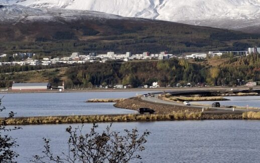 WhatsApp Image 2026 01 11 at 07.34.11