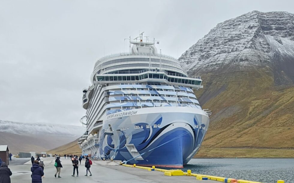 WhatsApp Image 2026 01 11 at 07.37.14